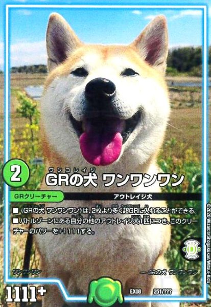 画像1: GRの犬ワンワンワン (1)